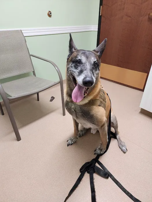 NorthPaws Animal Hospital Picture 3
