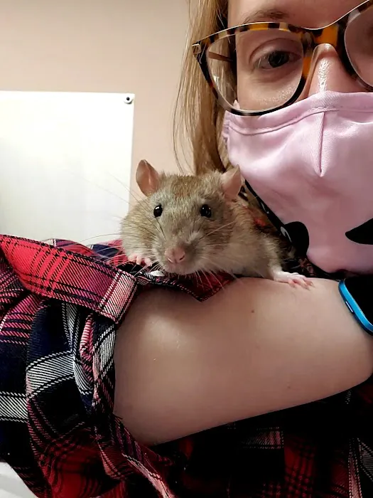 NorthPaws Animal Hospital Picture 10