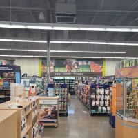 Petco ico