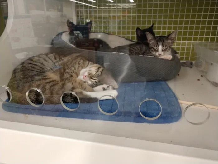 Petco Picture 5