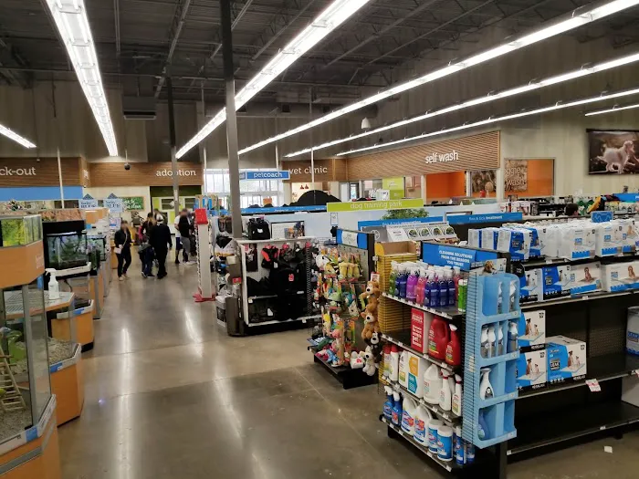Petco Picture 7