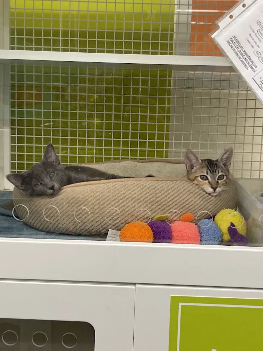 Petco Picture 10