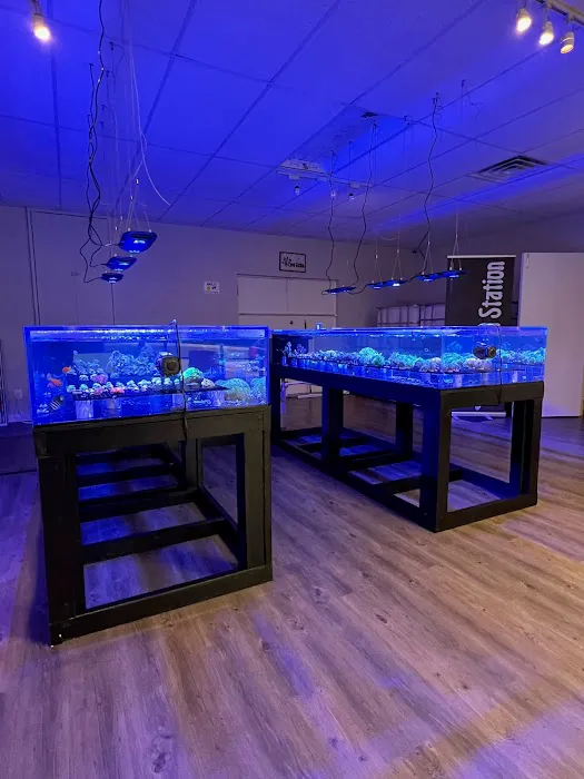 The Coral Station Picture 3