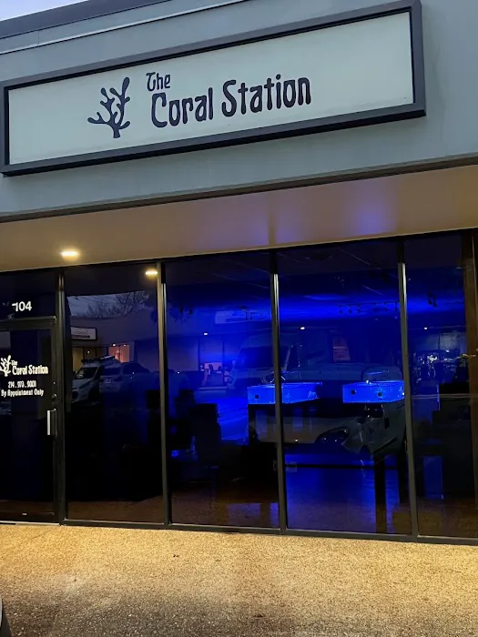 The Coral Station Picture 2