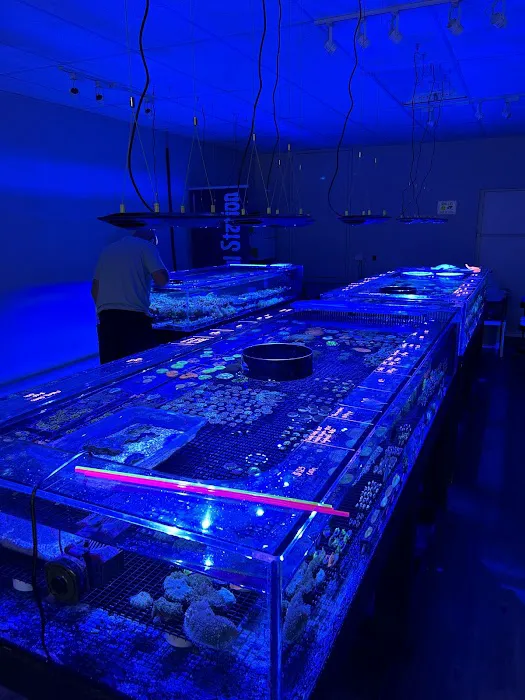 The Coral Station Picture 7