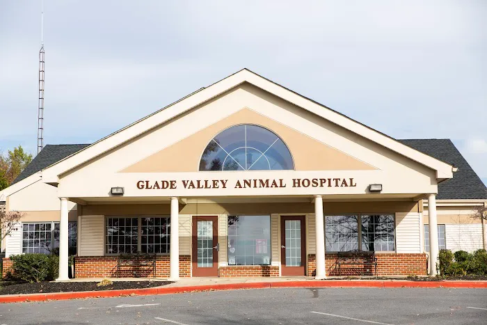 Glade Valley Animal Hospital Picture 4