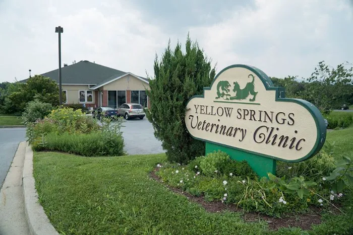 Yellow Springs Veterinary Clinic Picture 3