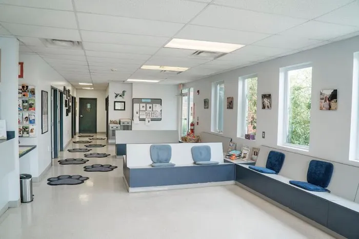 Yellow Springs Veterinary Clinic Picture 4
