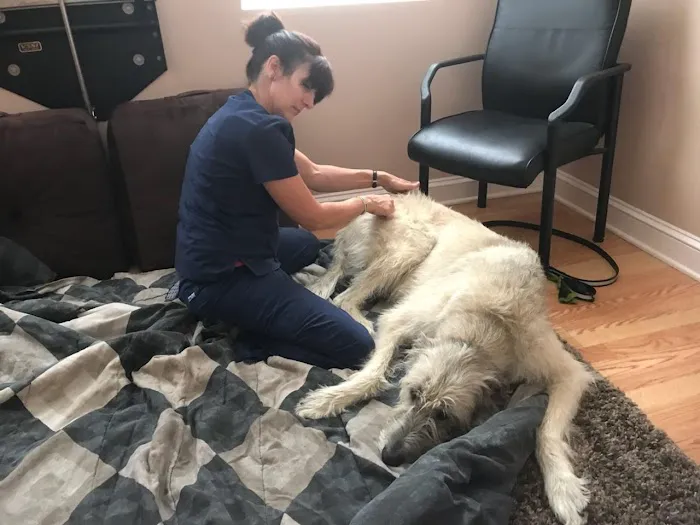 Yellow Springs Veterinary Clinic Picture 9