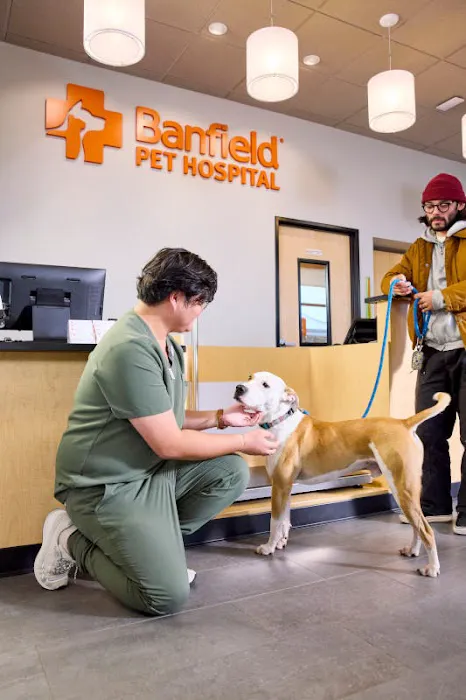 Banfield Pet Hospital Picture 1