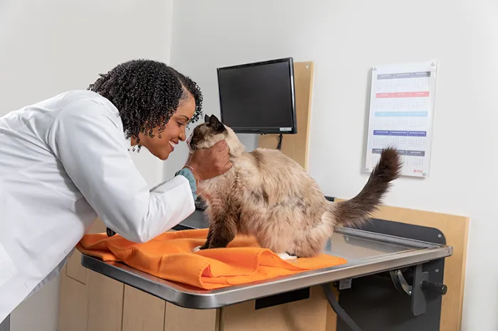 Banfield Pet Hospital Picture 3