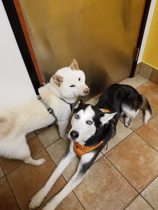 Banfield Pet Hospital Picture 4