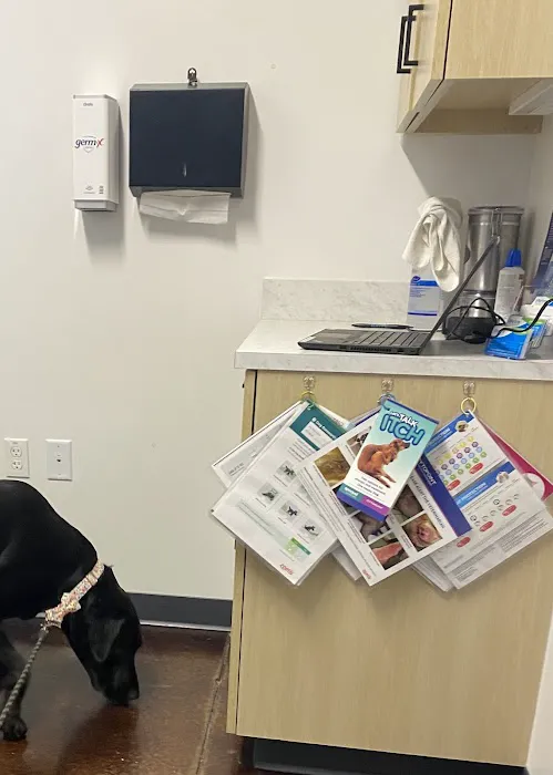 Thrive Pet Healthcare - Frederick Picture 8