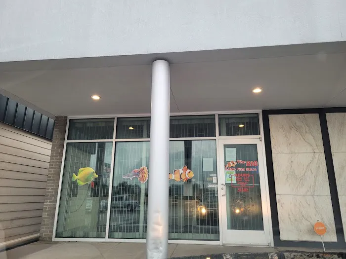 The Big Little Fish Store Picture 2