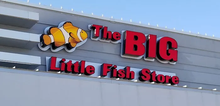 The Big Little Fish Store Picture 3