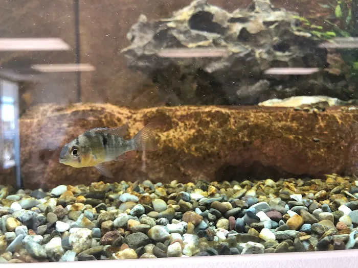 The Big Little Fish Store Picture 6
