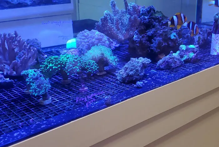 The Big Little Fish Store Picture 7