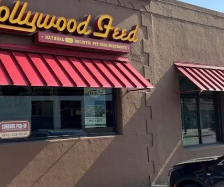 Hollywood Feed