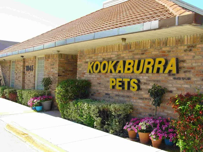 Kookaburra Bird Shop, LLC Picture 1