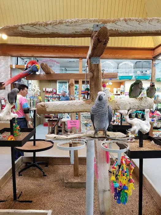 Kookaburra Bird Shop, LLC Picture 8