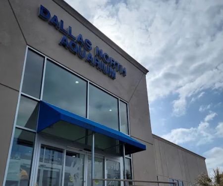 Dallas North Aquarium