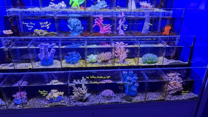 Dallas North Aquarium Picture 3