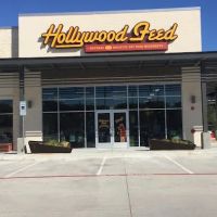 Hollywood Feed ico