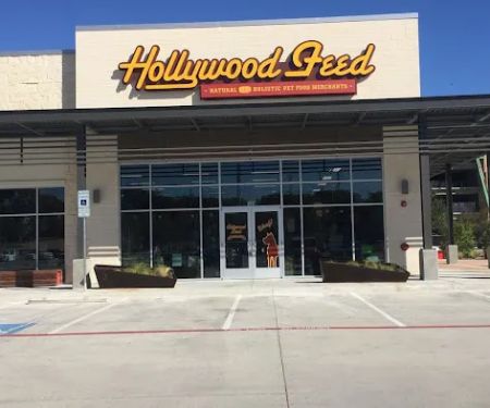 Hollywood Feed