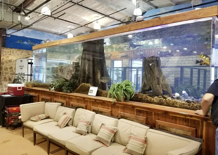 Aquarium Headquarters Maintenance, Service & Luxury Aquarium Installation Co. Picture 1
