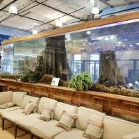 Aquarium Headquarters Maintenance, Service & Luxury Aquarium Installation Co. ico