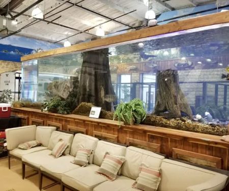 Aquarium Headquarters Maintenance, Service & Luxury Aquarium Installation Co.