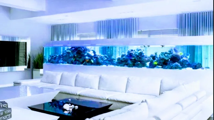 Aquarium Headquarters Maintenance, Service & Luxury Aquarium Installation Co. Picture 3