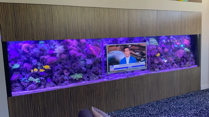 Aquarium Headquarters Maintenance, Service & Luxury Aquarium Installation Co. Picture 4