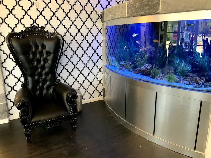 Aquarium Headquarters Maintenance, Service & Luxury Aquarium Installation Co. Picture 7