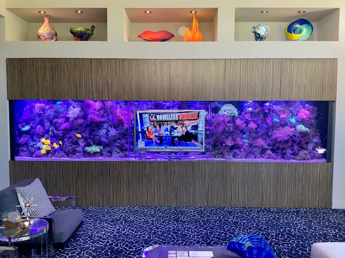 Aquarium Headquarters Maintenance, Service & Luxury Aquarium Installation Co. Picture 6