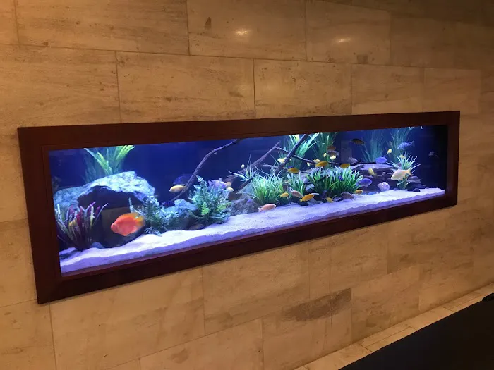 Aquarium Headquarters Maintenance, Service & Luxury Aquarium Installation Co. Picture 5