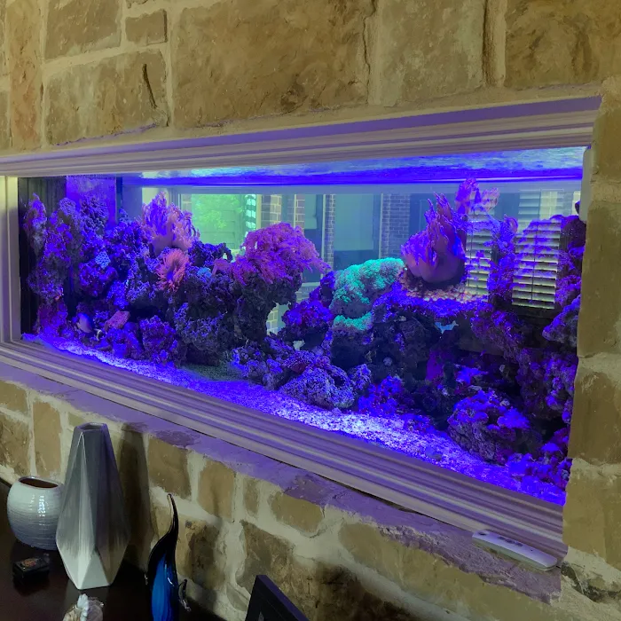Aquarium Headquarters Maintenance, Service & Luxury Aquarium Installation Co. Picture 9
