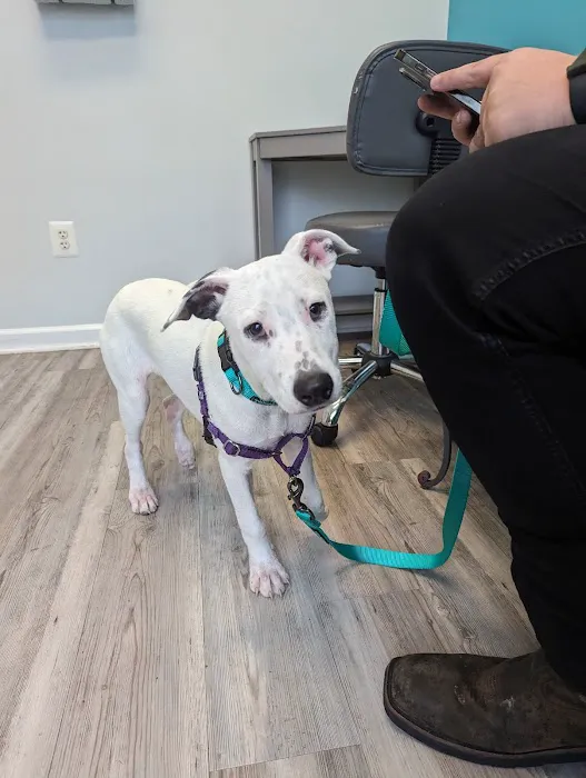 Compassion Veterinary Center Picture 3