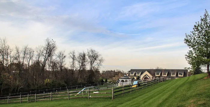 Greenbriar Veterinary Hospital & Luxury Pet Resort Picture 1