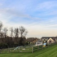 Greenbriar Veterinary Hospital & Luxury Pet Resort ico