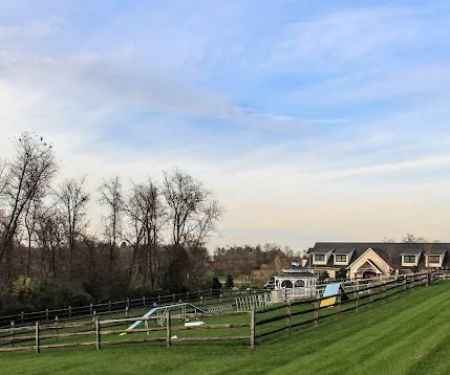 Greenbriar Veterinary Hospital & Luxury Pet Resort