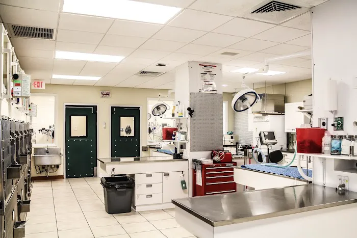 Greenbriar Veterinary Hospital & Luxury Pet Resort Picture 6