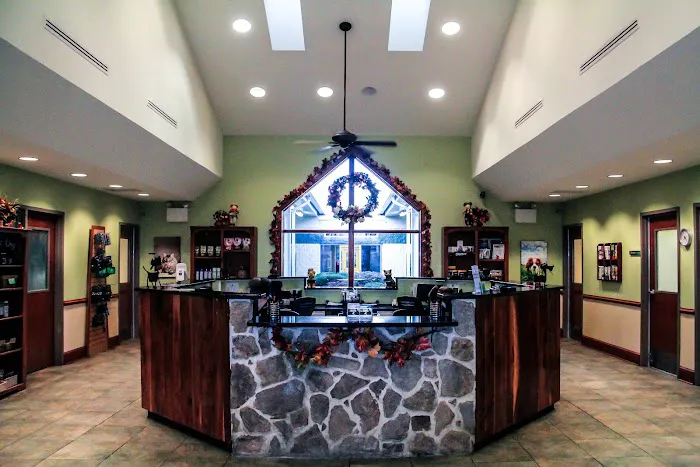 Greenbriar Veterinary Hospital & Luxury Pet Resort Picture 10
