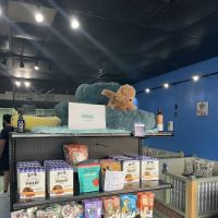 Pettito ico