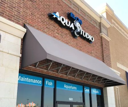 Aquastudios Aquarium