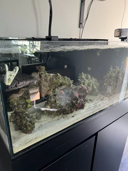 Aquastudios Aquarium Picture 4