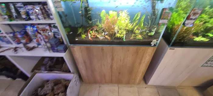 Aquastudios Aquarium Picture 8