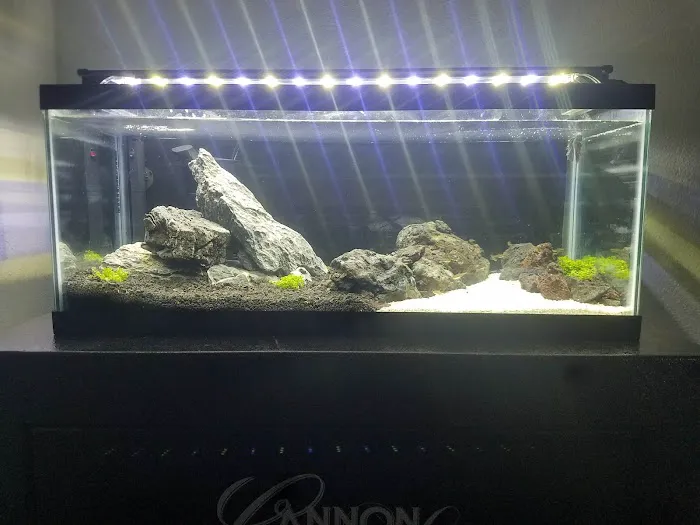 Aquastudios Aquarium Picture 7