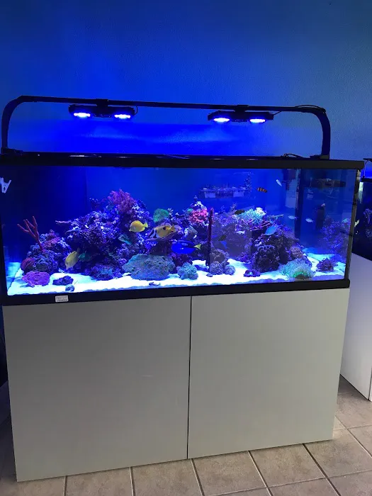Aquastudios Aquarium Picture 9