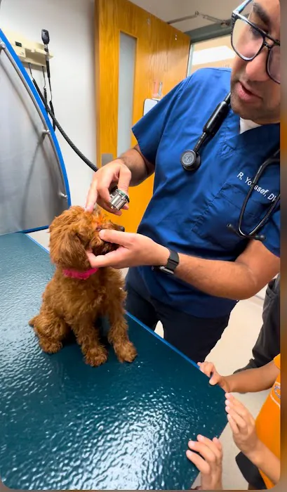 Frederick Veterinary Center Picture 2